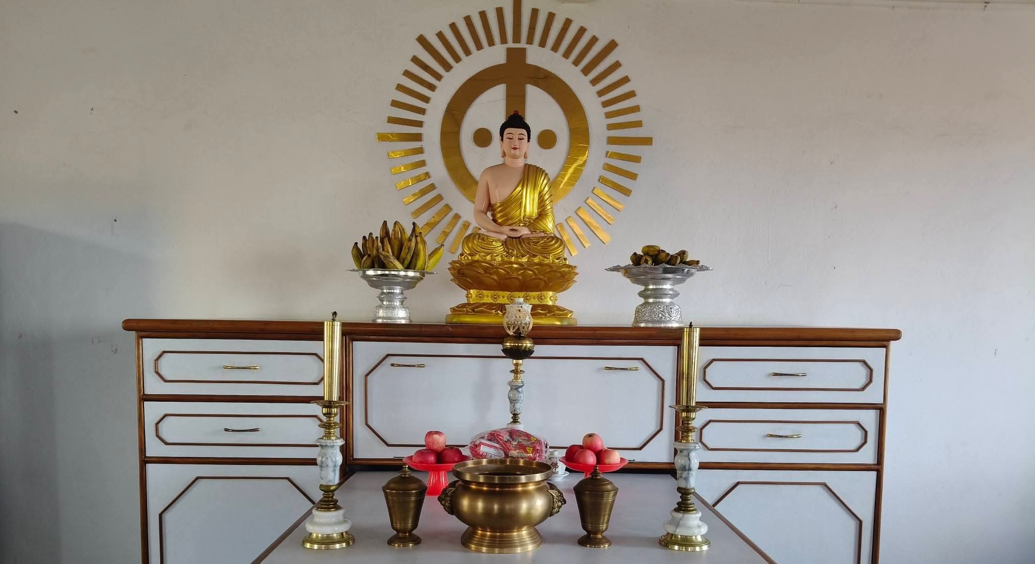 About TAO Association of Nepal